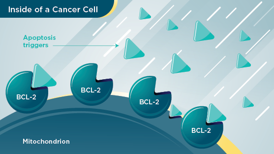 Inside of a Cancer Cell