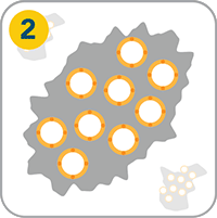 How Venclexta Works - Step 2