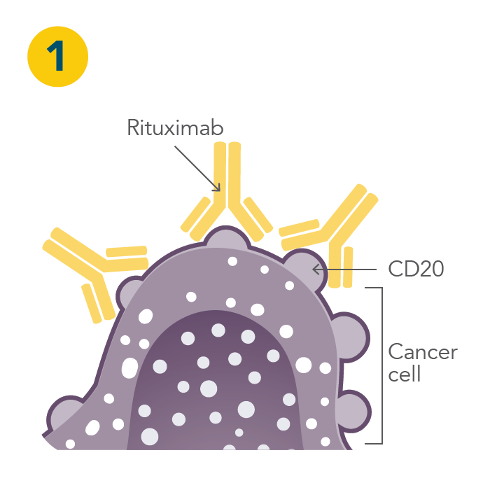 What is Rituximab - Part 1