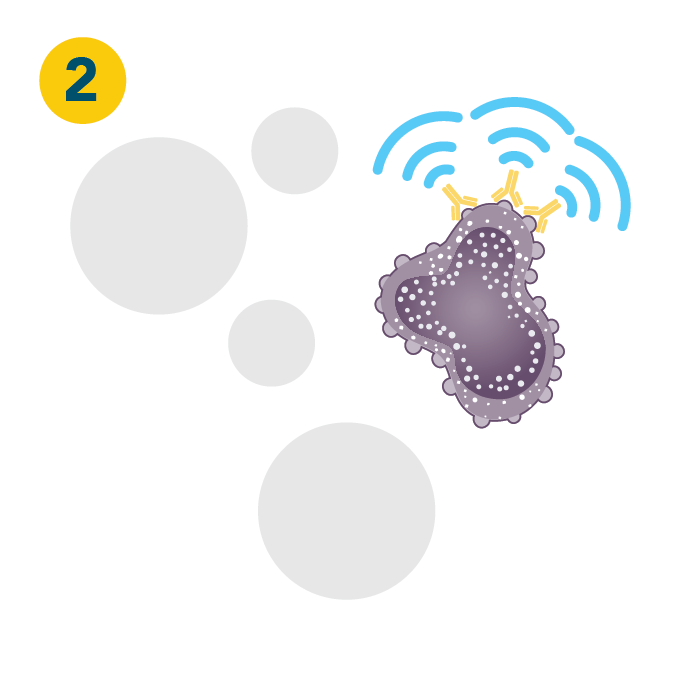 What is Rituximab - Part 2