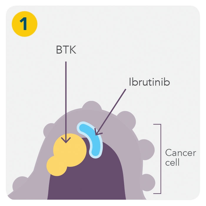 How ibrutinib works - Step 1